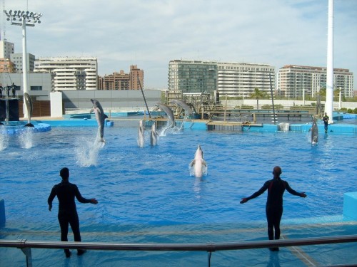 obr_190_0020.jpg