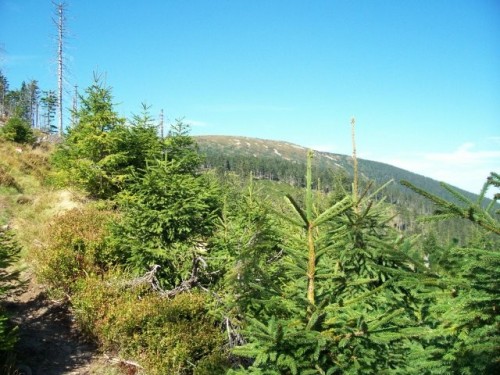 obr_900_0003.jpg