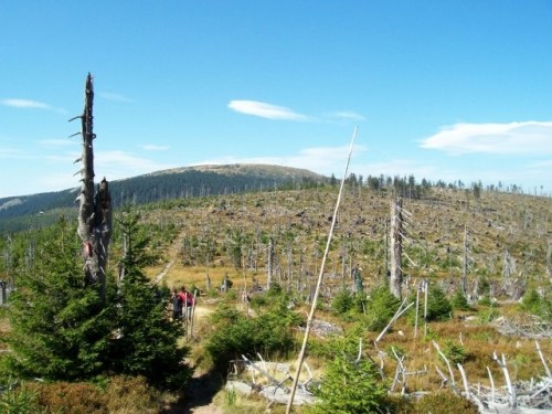 obr_900_0008.jpg
