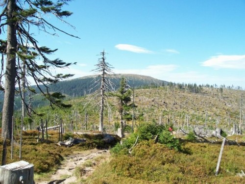 obr_900_0009.jpg
