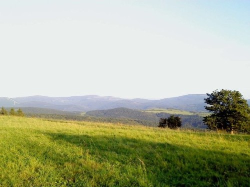 obr_900_0021.jpg