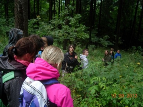 obr_900_0081.jpg