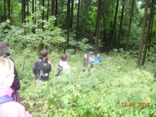 obr_900_0082.jpg