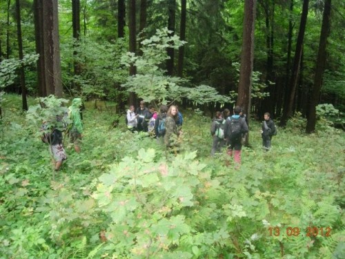 obr_900_0083.jpg