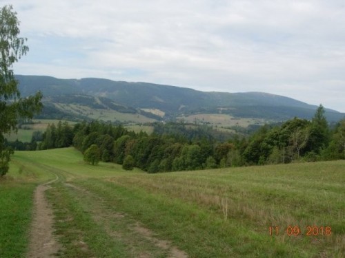 obr_698_0013.jpg