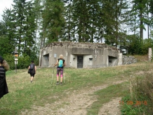 obr_698_0015.jpg