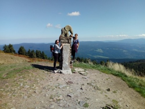 obr_610_0009.jpg